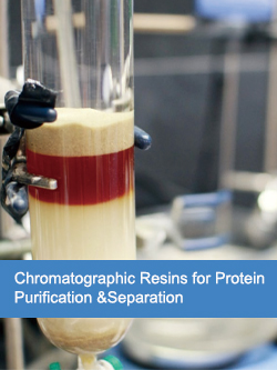 Chromatographic Resins for Protein Purification & Separation