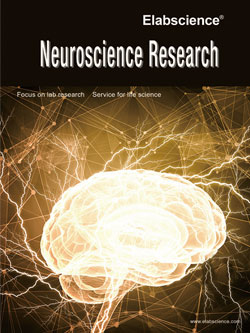Neuroscience Research (2019)