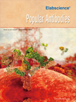 Popular Antibodies(2019)