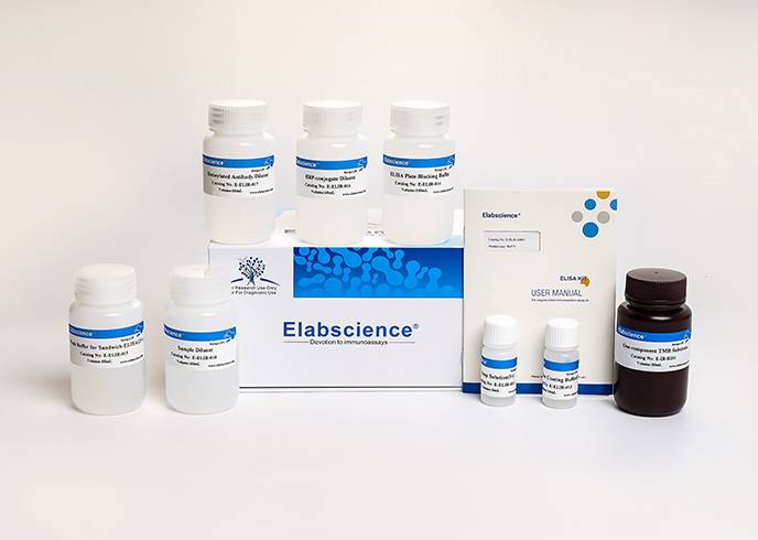 ELISA Ancillary Reagent Kit