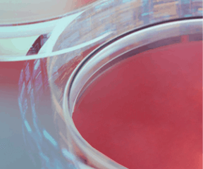 Classical Basic Medium