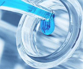 Complete Growth Medium