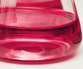 Complete Growth Medium