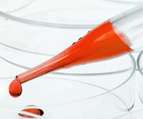 Supplements & Reagents