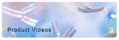 FCM Reagents Product Videos