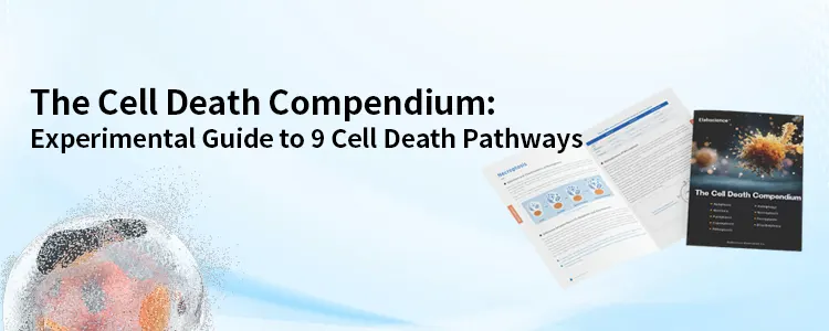 Cell Death Guide