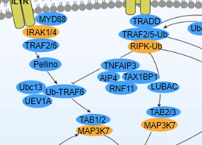 Signaling Pathways For Your Research Elabscience