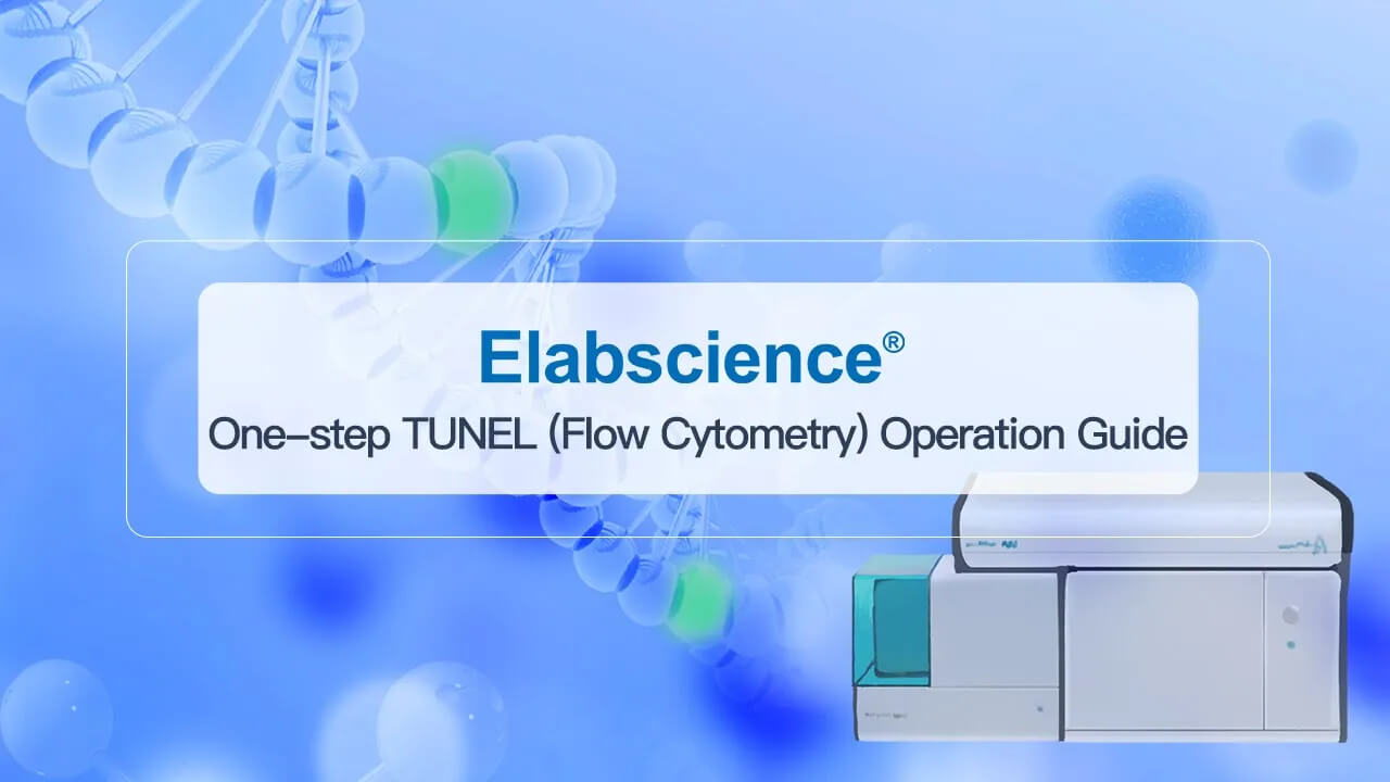 One-step TUNEL Flow Cytometry Apoptosis Kit (Red, Elab Fluor<sup>®</sup> 647) - small - 4
