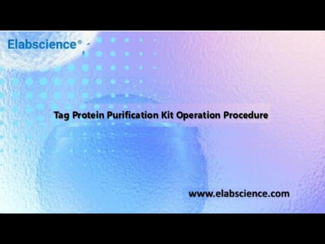 Eukaryotic Tag Protein Purification Operation Guide Video