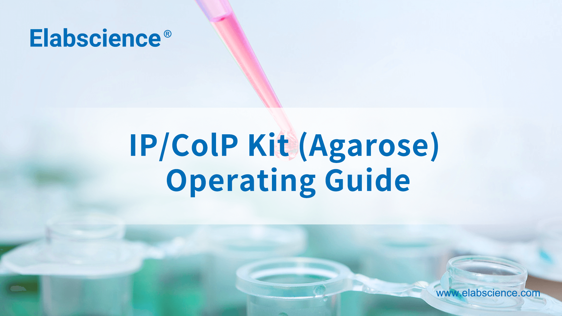 IP/CoIP Kit (Agarose) Operating Guide