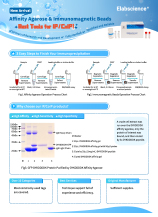 Agarose Magnetic Beads 2023