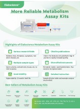 Cell Metabolism Assay Kits Flyer  (2024)