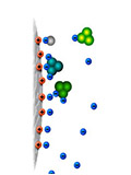 gel filtration chromatography