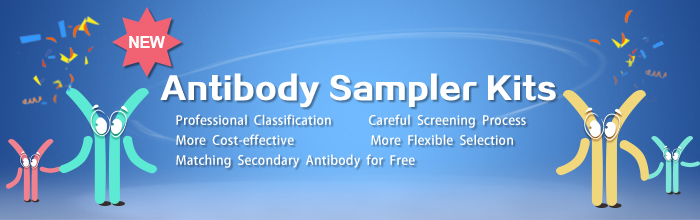 Elabscience Antibody Sampler Kits meet your one-stop demands