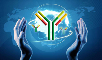 custom antibody sampler kits 