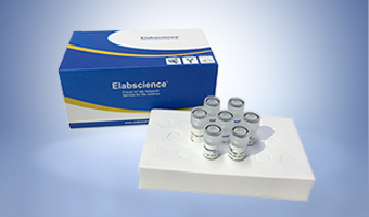 popular antibody sampler kits 