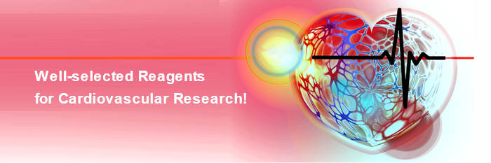 high quality products for cardiovascular research
