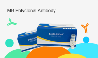 external packing of antibody