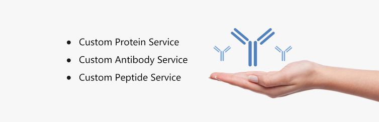 Elabscience custom biological service