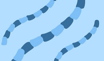 picture of peptide