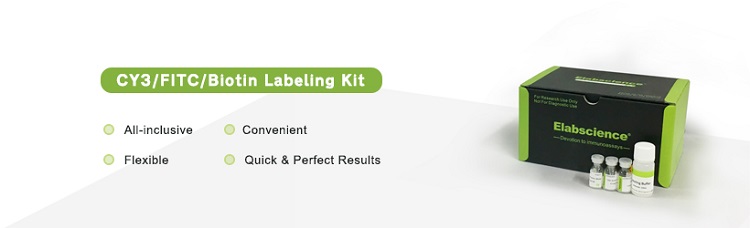Elabscience  labeling kit