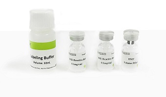 Elabscience CY3 labeling kit