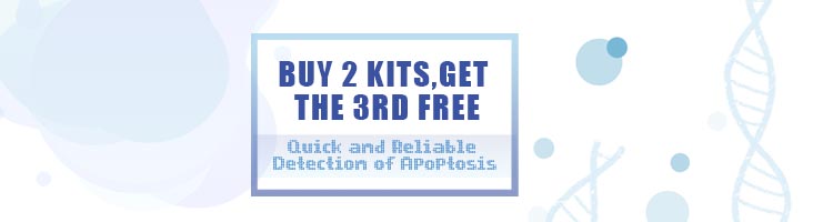 Buy 2 kits, get the 3rd free-Elabscience Annexin V Apoptosis Detection Kits