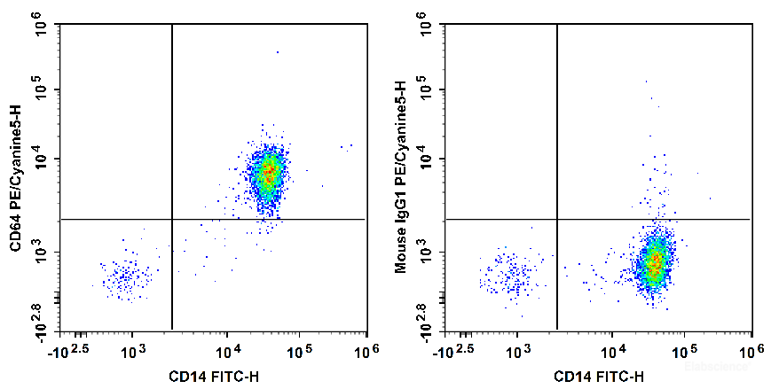 Human peripheral blood are stained with FITC Anti-Human CD14 Antibody and PE/Cyanine5 Anti-Human CD64 Antibody[10.1] (Left). Cells in the monocyte gate were used for analysis. Cells are stained with FITC Anti-Human CD14 Antibody and PE/Cyanine5 Mouse IgG1, κ Isotype Control (Right).