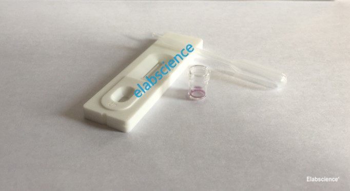 Food Safety Lateral Flow Assay Kit-Elabscience