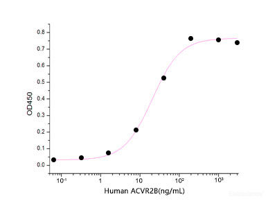 Immobilized Human/Mouse/Rat Activin A(Cat: PKSH033807) at 5μg/ml(100 μl/well) can bind Human ACVR2B-His. The ED50 of Human ACVR2B-His is 10-50 ng/ml .