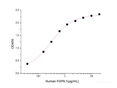 Immobilized Human FGFb(Cat: PKSH032437) at 2μg/ml(100 μl/well) can bind Human FGFRL1-His. The ED50 of Human FGFRL1-His is 0.0345 ug/ml.