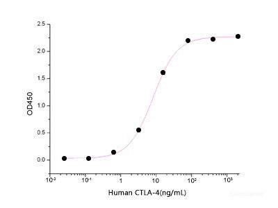 Immobilized Mouse B7-1-Fc(Cat: PKSM041366) at 10μg/ml(100 μl/well) can bind Human CTLA-4-His. The ED50 of Human CTLA-4-His is 2.3 ng/ml .