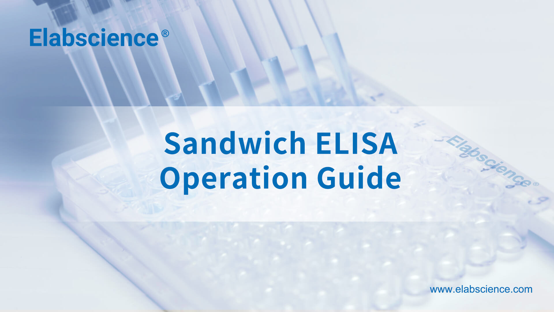 Human sCD14(Soluble Cluster of Differentiation 14) ELISA Kit
