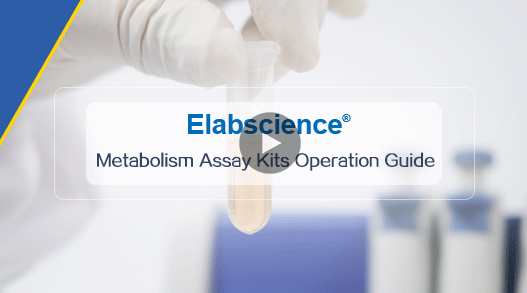 Metabolism Assay Kits Operation Guide