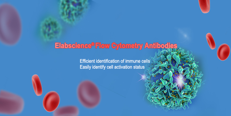 Flow Cytometry Antibodies