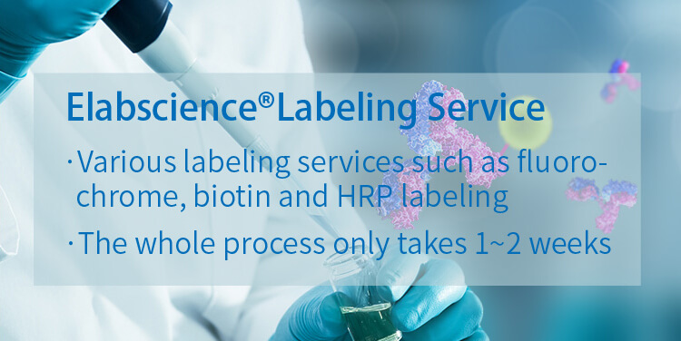 Labeling Service