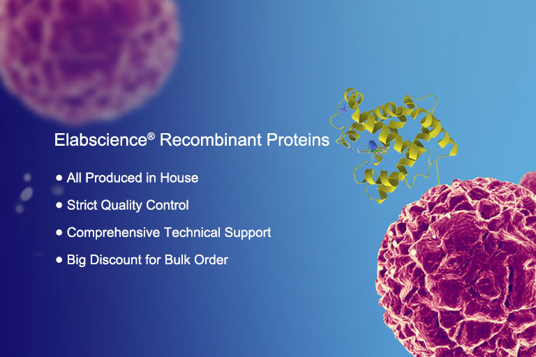 Recombinant Proteins