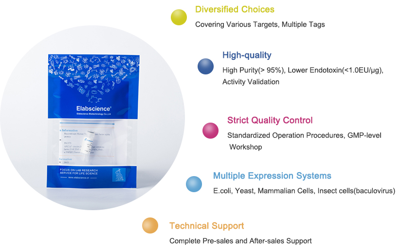 Advantages of Elabscience<sup>® Recombinant Protein