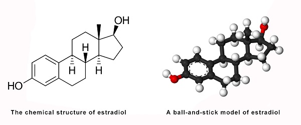 Review on Estradiol-1