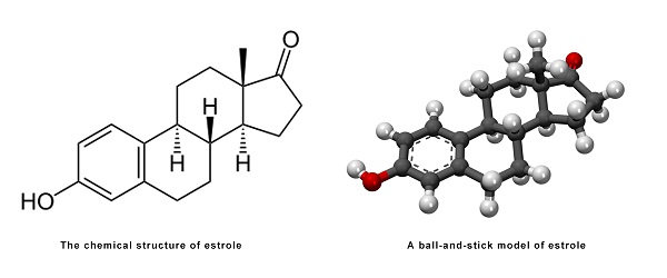 Review on Estradiol-3