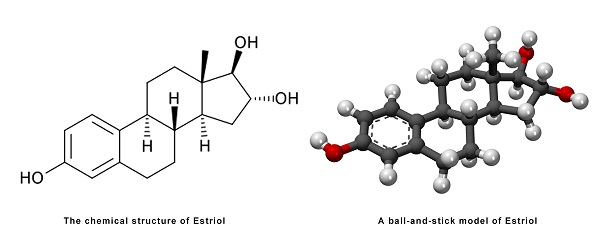 Review on Estradiol-4