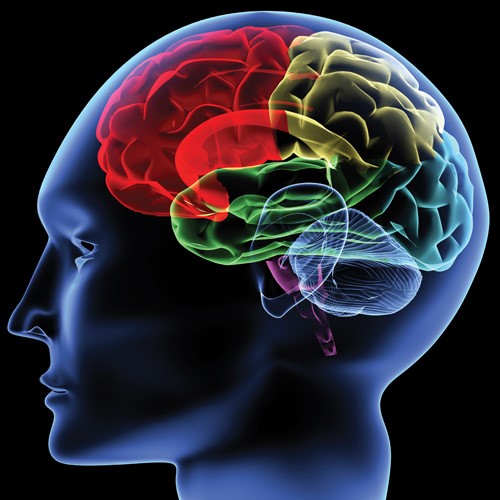 Review on Neuroscience and Top 10 News in 2017-1