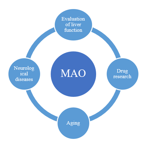 Monoamine Oxidases (MAO) activity assay: obtain a amount of effective data in a short time-1