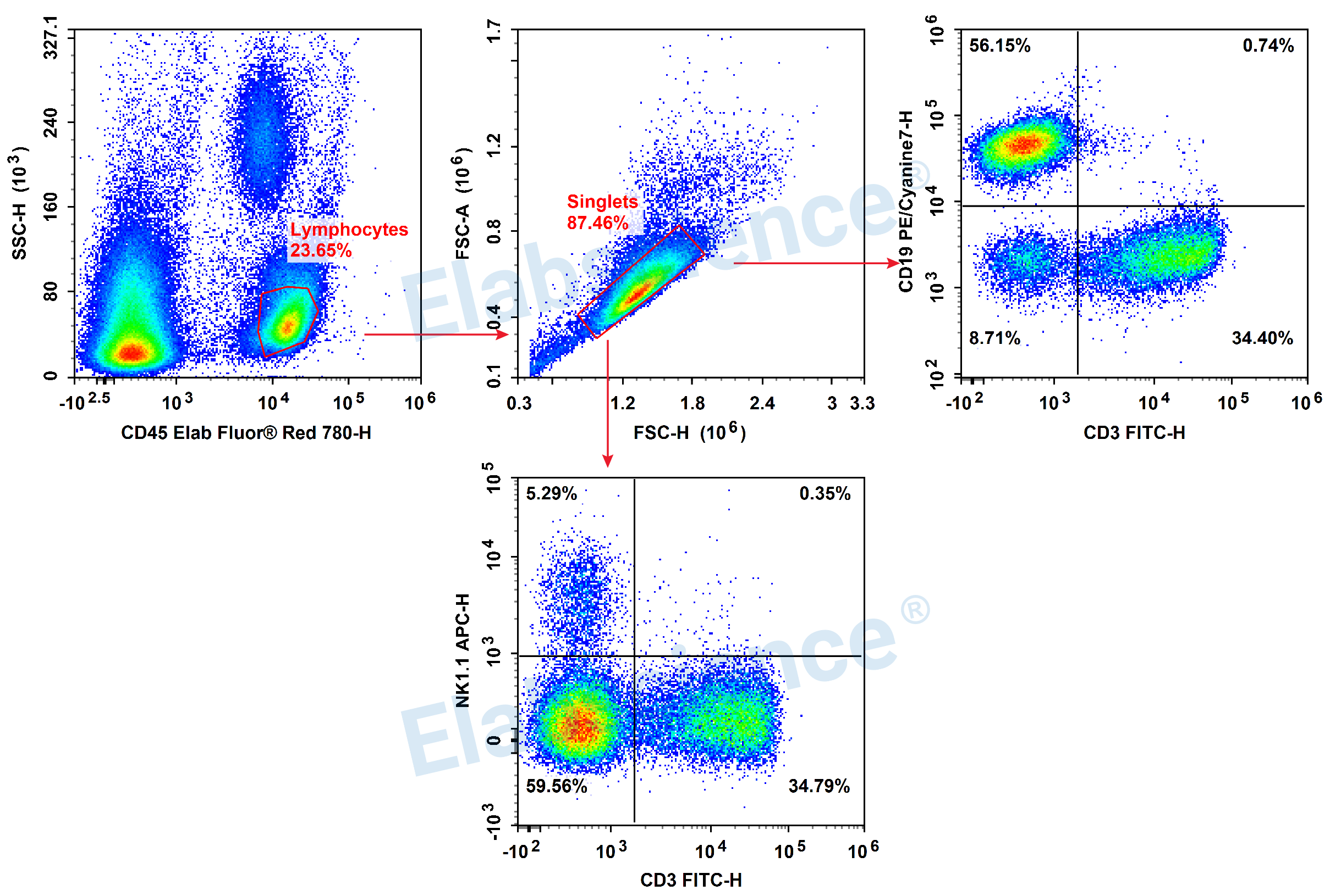 Detection of T/B/NK (4-color) in C57BL/6 mouse peripheral blood-1