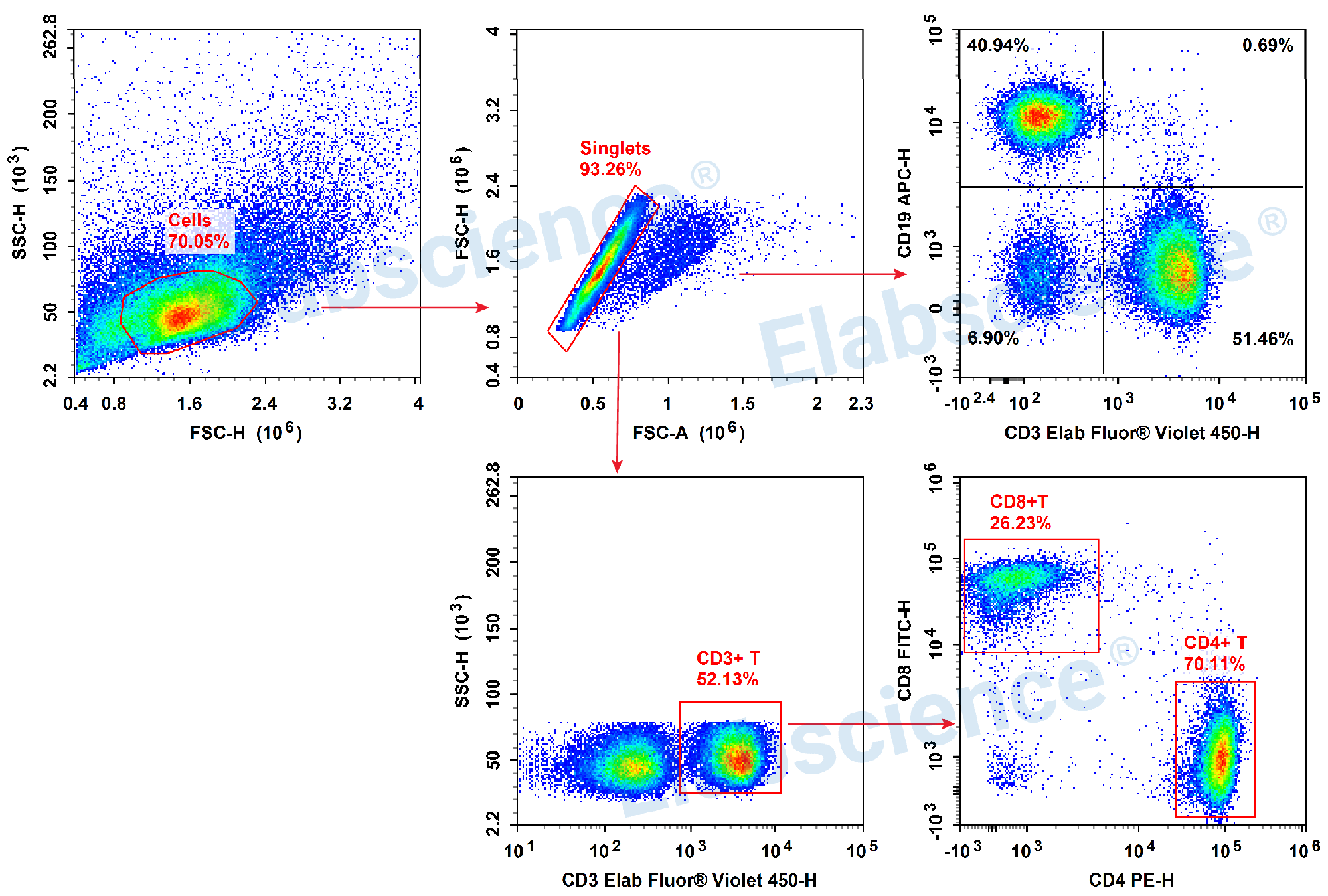 Detection of TB cells (4-color) in mouse lymph node-1