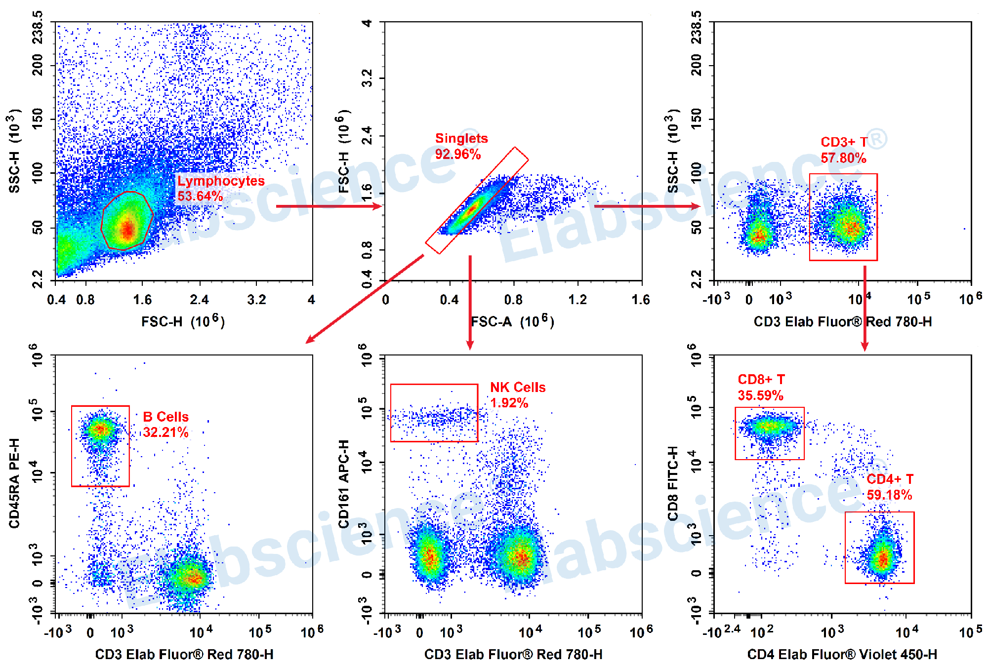 Detection of T/B/NK (5-color) in Rat Spleen-1