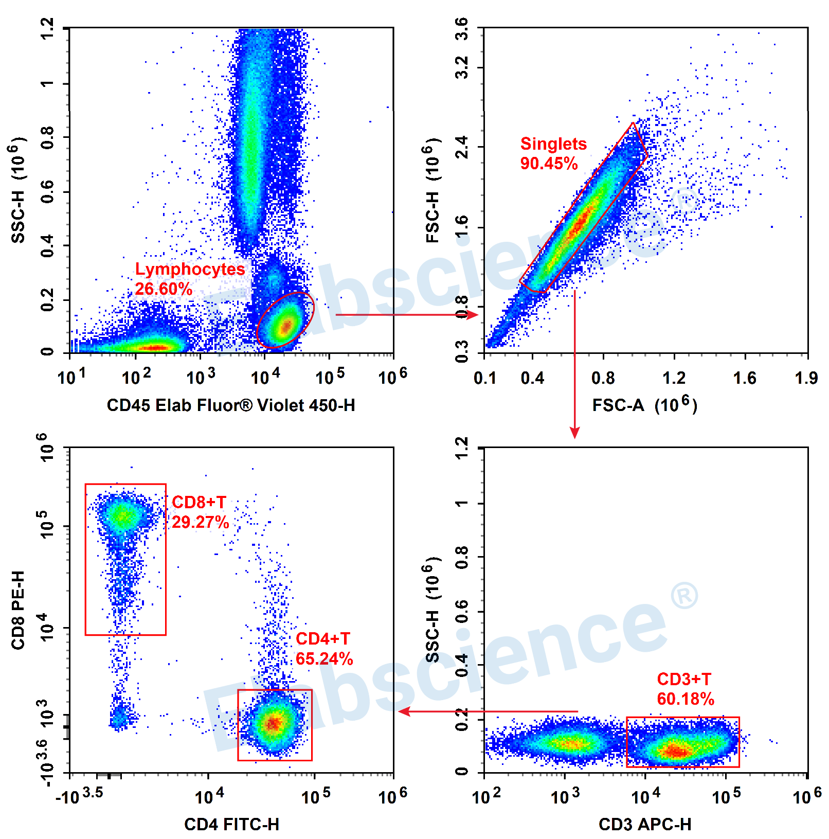 Detection of T cells (4-color) in Human Peripheral Blood-1