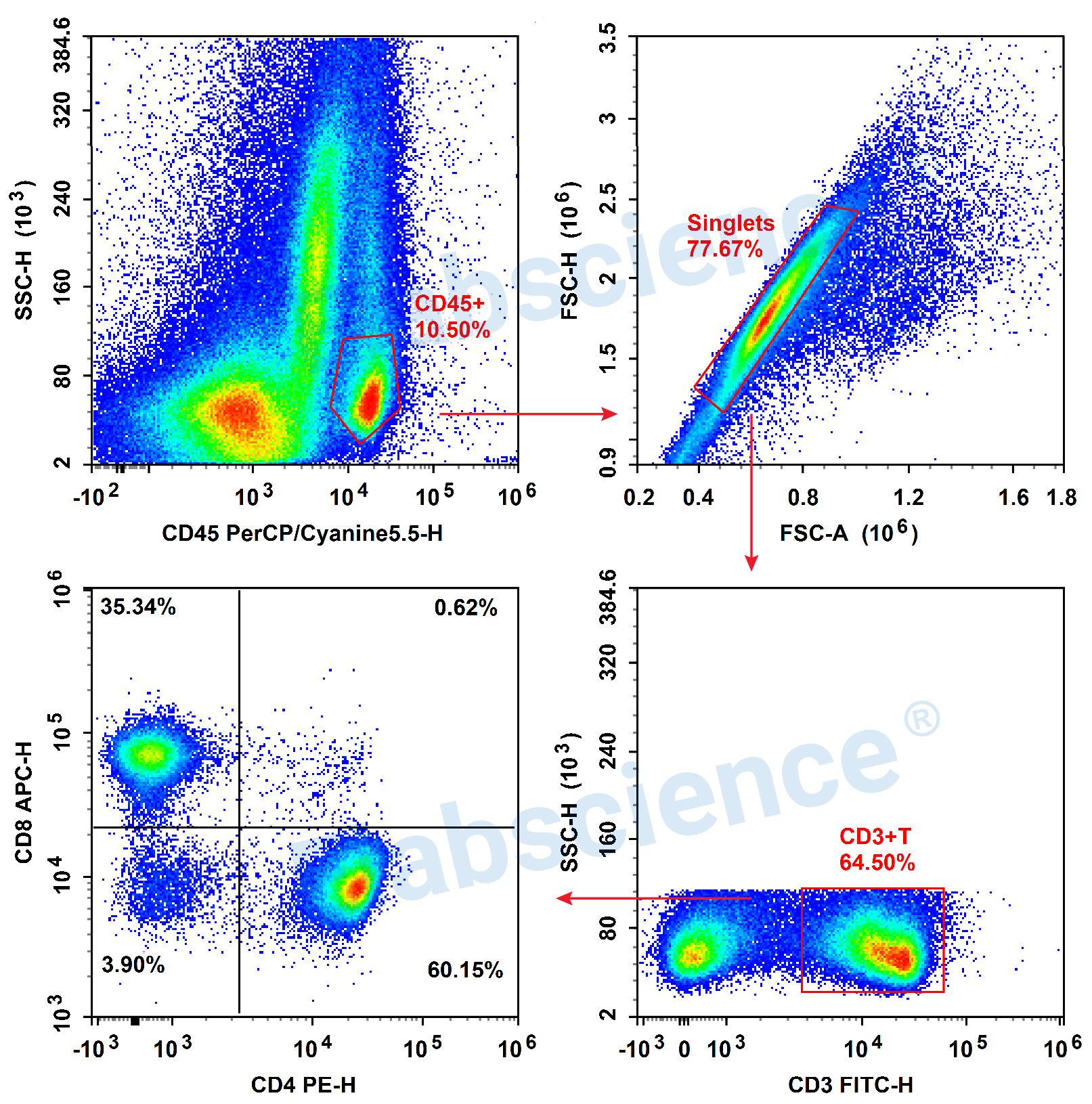 Detection of Lymphocyte (4-color) in Mouse Tumor-1