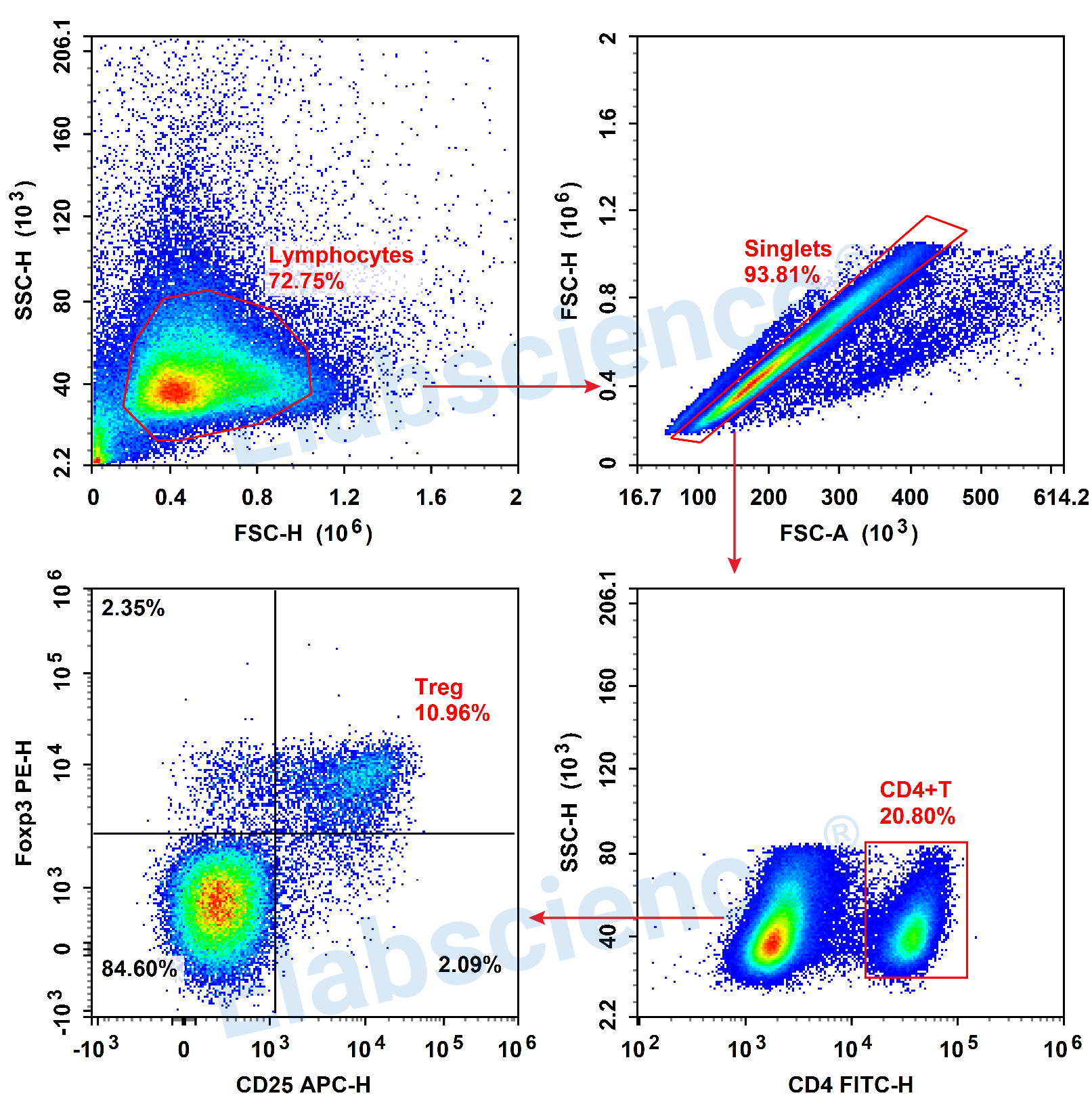 Detection of Treg (3-color) in Mouse Spleen-1