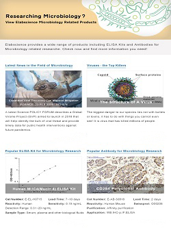 Issue 4, Microbiology
